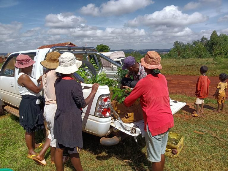 progetto-riforestazione-madagascar-fam